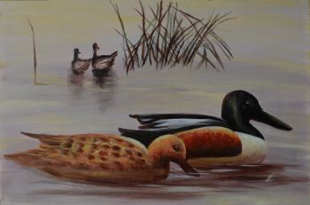 Ducks in Lake - Tiere Handgemaltes Ölgemälde ohne Rahmen