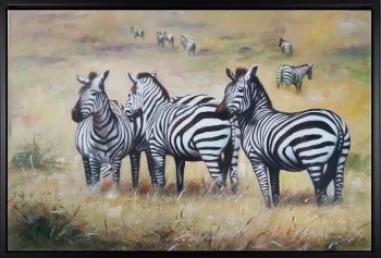 Zebras in Safari - Tiere Handgemaltes Ölgemälde mit schwarzem Rahmen