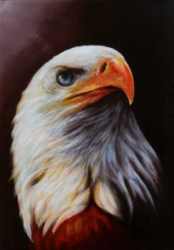 Proud Eagle - Tiere Handgemaltes Ölgemälde ohne Rahmen